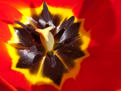 On you, those colors look good.  No, really.