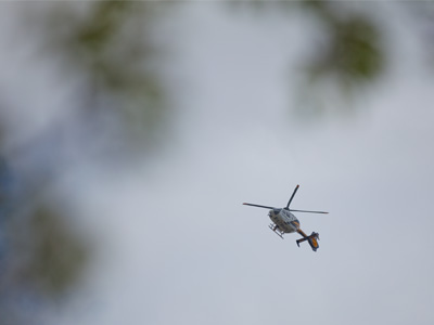 Did you see that movie `Grand Canyon`?