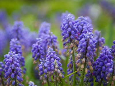 One of my favorite colors.  Not that I actually wear it myself.