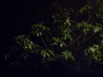 I was going to photograph a dance ensemble preparing for their next show.  The rehearsal was open to the public.