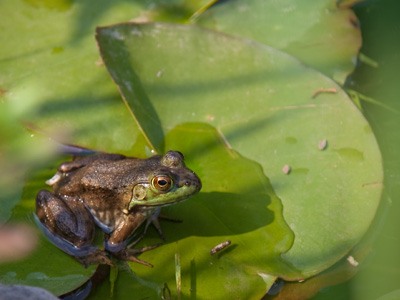 Dude, love your pad!