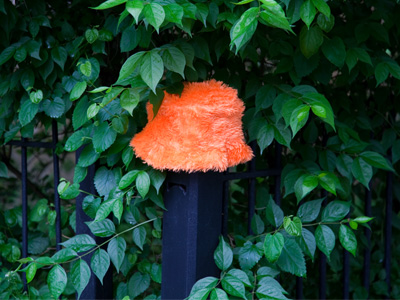 THERE`S my fuzzy orange hat!