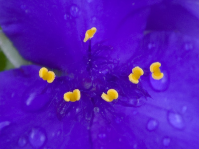 Unfortunately, I was also covered in raindrops.