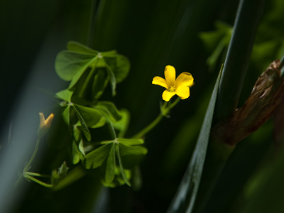 No, I refuse to tell you where this is.  It`s my secret.