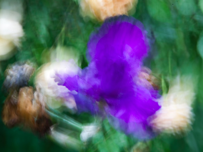 Forget what I said on May 24 about holding the camera steady.  Sometimes it`s better just to move it around.