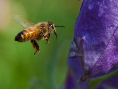 Working on a Sunday?