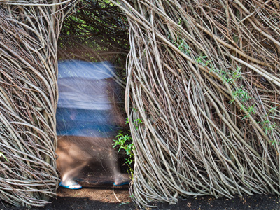 The Ghost of Siebenthaler Avenue.