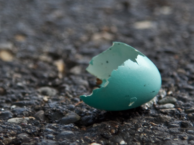 Robin doesn`t live here anymore.