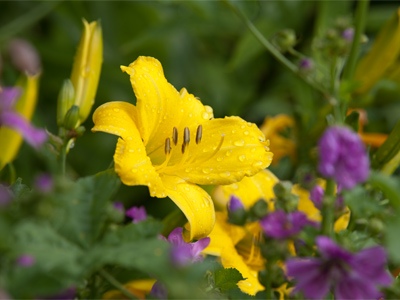 A little color contrast is nice from time to time.