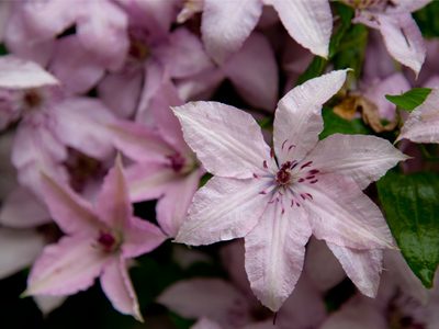 Who needs color contrast?