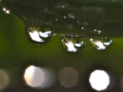 {Sigh!}  If only I knew how to take good photos of nature.