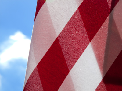 Warming up for Flag Day.