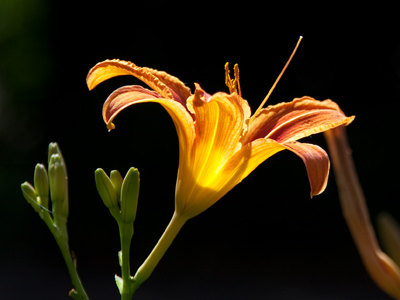 There was a group of picnickers nearby, but it`s far too late to start caring about what people think of me.