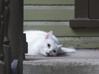 The face of unrequited love waits for me on the porch.