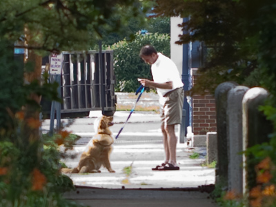 Unlike Lassie`s noisy barking long ago, modern dogs just send text messages:  TIMMY N MINE SHAFT.  SRSLY!