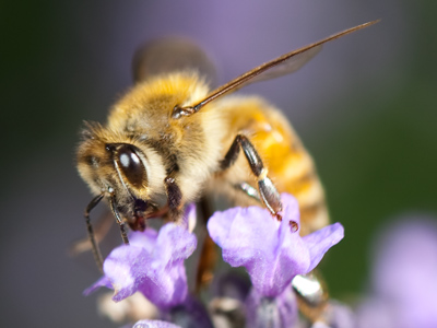 It was a bug and flower day, that`s for sure.