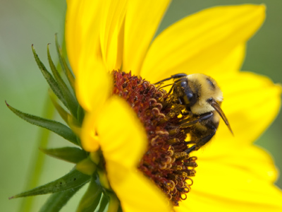 This is in the city too.