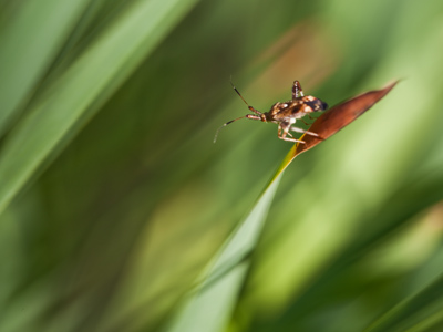 Endless options await on the path ahead.
