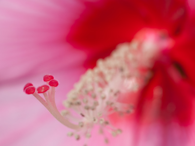 Someone called my name at this moment, but I had to finish taking the picture before I looked up.