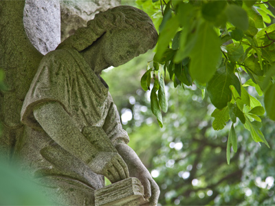 `Dear Groundskeeping Crew:  Perhaps when you have a moment, you could TRIM MY TREE.`