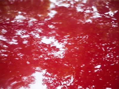 My old car still hasn`t lost its shine.