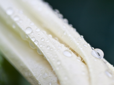 It was a drippy evening.