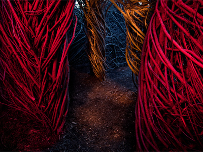 Would you rather see a picture of the mosquito bites I got creating this shot?