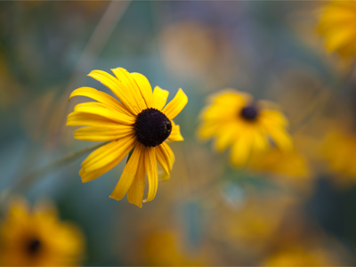 In the alley between air conditioners and garbage cans.