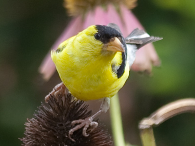 People with cameras often receive suspicious looks.