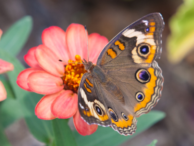 Stood in the hot sun for a while to get this one.