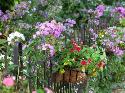 A sign that summer ain`t done yet.