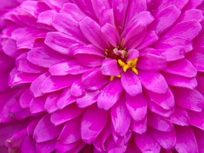 I had a tough time finding trunks to match my swim cap.