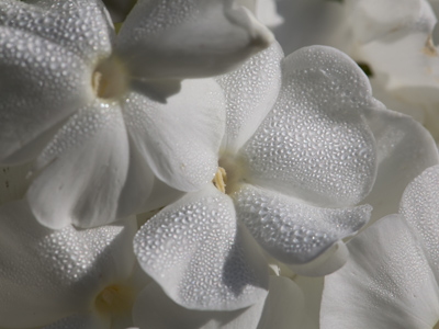 Just out of the shower.