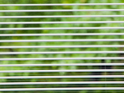 The rest of today`s photos are under a rain delay.