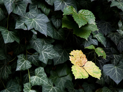 All things must change.