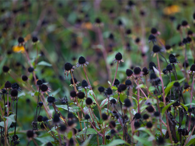 Fall.  Don`t even get me started about fall.