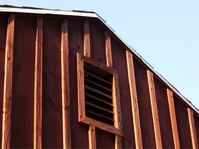 Five o`clock shadow.