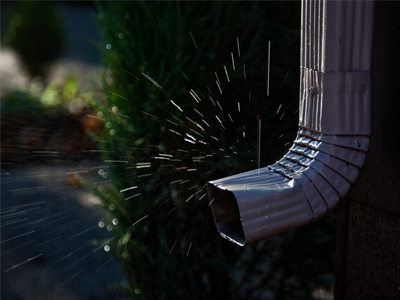 Today was a drippy day.