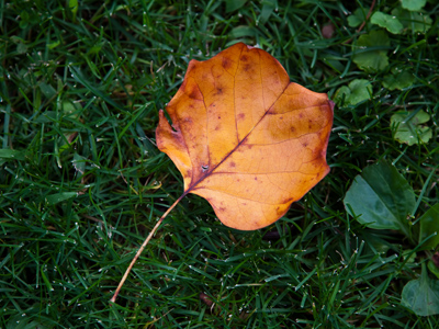 Ready or not, here it comes.