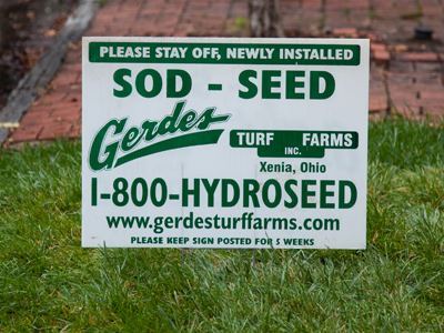 I saw.  You sod.  He seed.