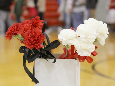 This innocent box of flowers has no idea what lies ahead.
