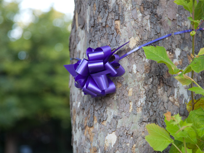 Finally, nature makes itself presentable.