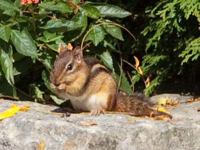 Enjoying a late breakfast.