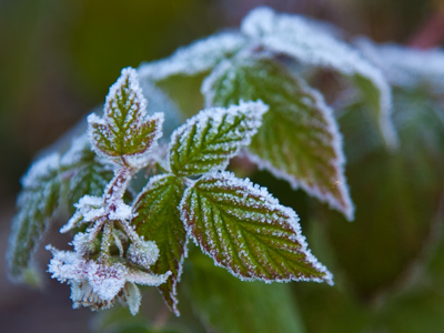 A few more inches of fat, and I`ll be ready to hibernate.