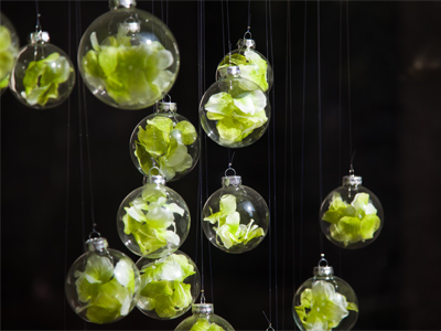 Urban art installation by Tracy Kraft.