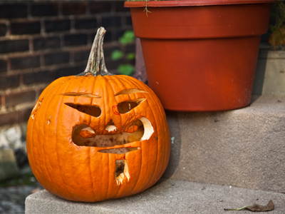 How doth that visage languish which once was bright as morn.