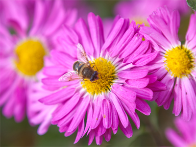 Did I misread the calendar?  It is November, isn`t it?