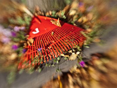 I shovel snow in the winter since it`s potentially dangerous.  I don`t cut grass in the summer, nor rake leaves in the fall.  Grass and leaves don`t hurt anybody.