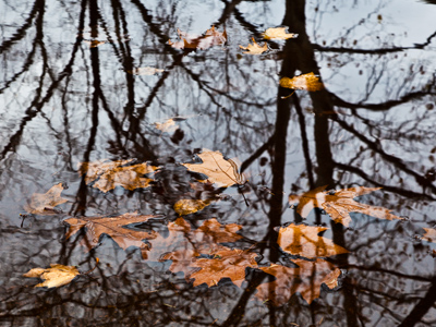 The sun was out briefly this morning, but was called away.