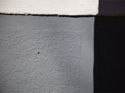 Lots of leaves left.